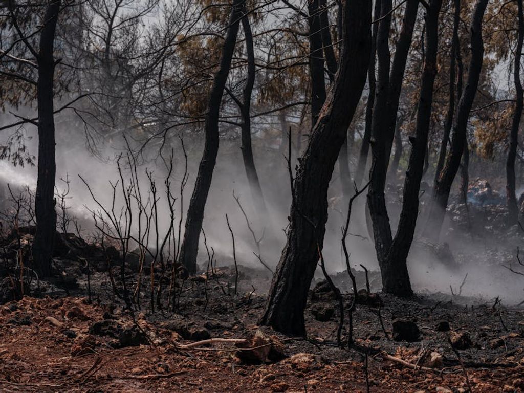 מבוא לתביעות פיצויים על נזקי שריפות: צעדים ראשונים